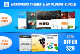 06 Wordpress themes & 03 WP Plugins