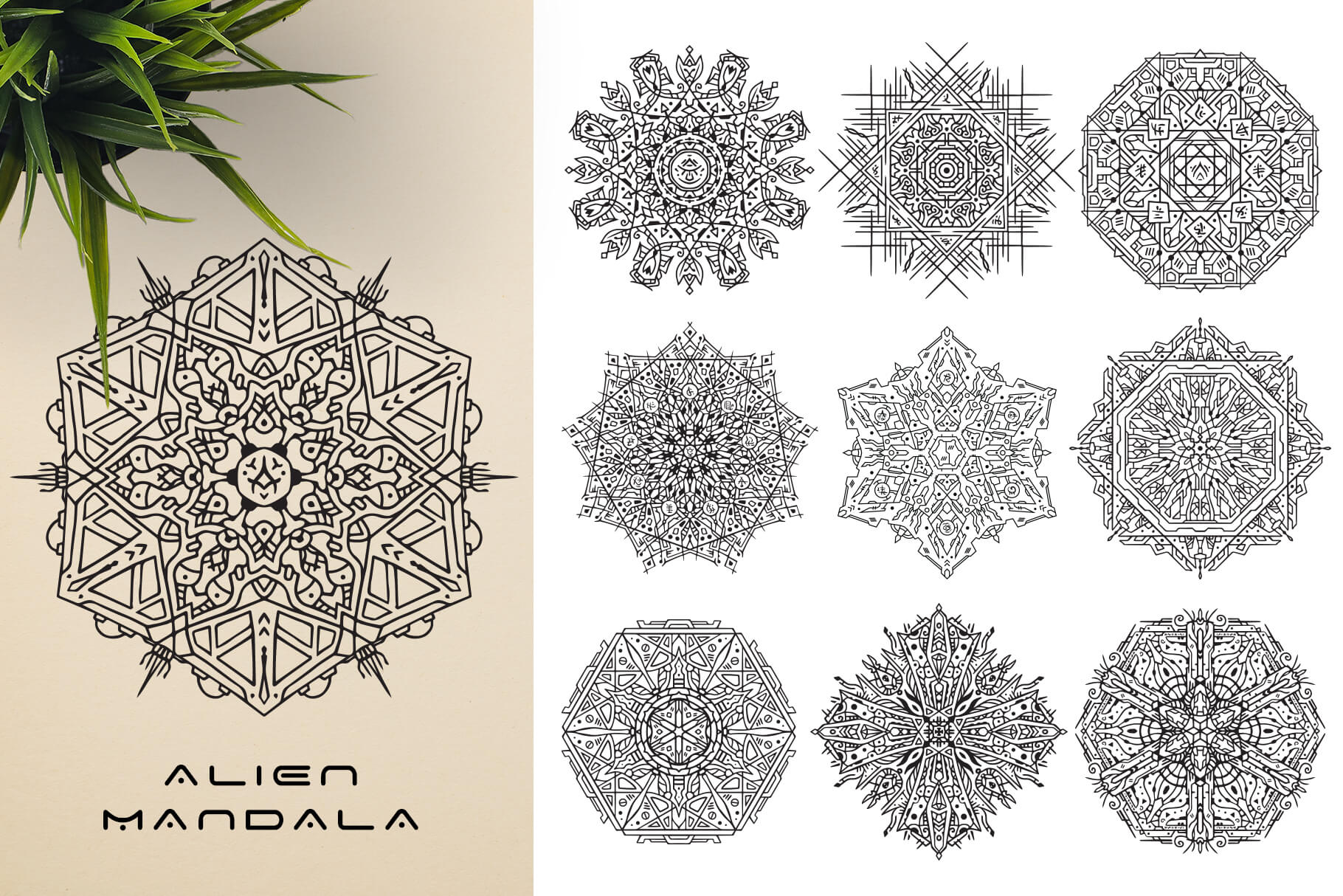 Download Mandala Ornaments Collection 1000 Mandala Art Ornaments Dealfuel